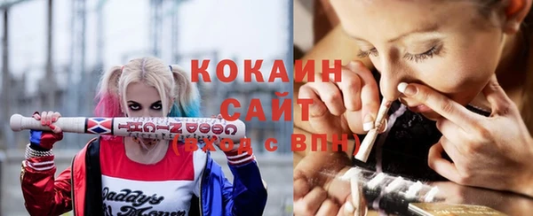 шишки Армянск