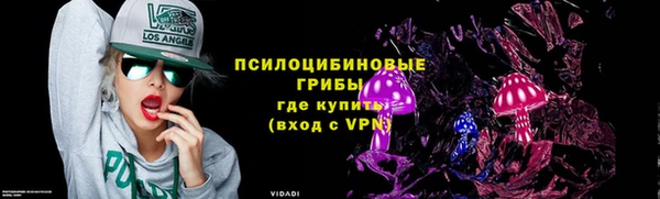 шишки Армянск