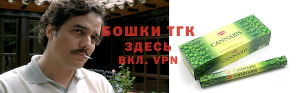 шишки Армянск
