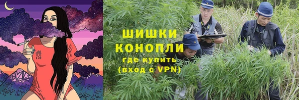 дживик Арсеньев