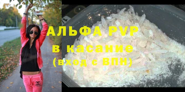 дживик Арсеньев